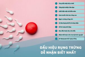 Dấu hiệu rụng trứng và cơ hội mang thai