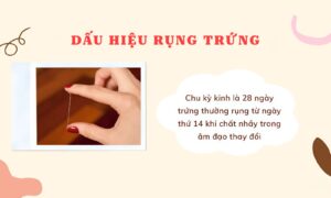 dấu hiệu rụng trứng