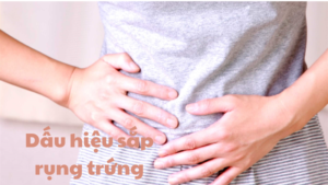 dấu hiệu sắp rụng trứng