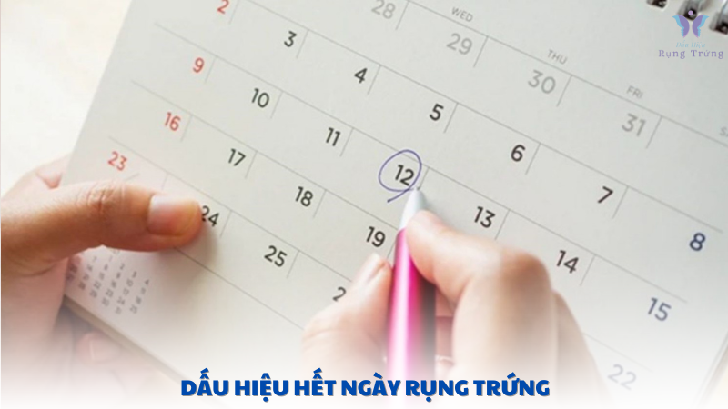 dấu hiệu hết ngày rụng trứng