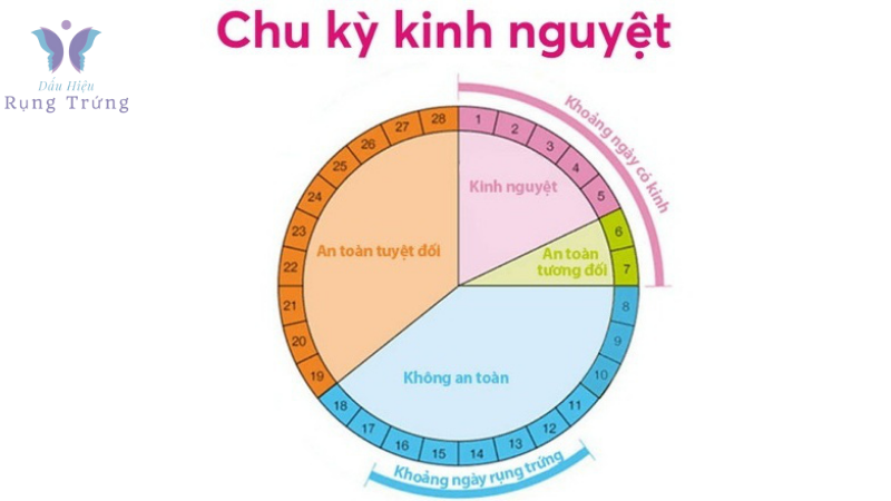 ngày rụng trứng có dấu hiệu gì